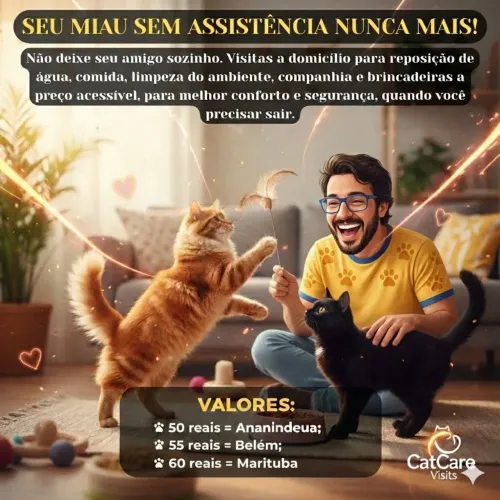 Gato cat Babá visita a domicílio care sitler