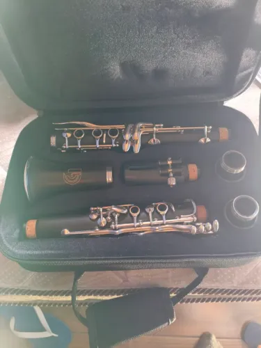 Clarinete dolphin sib