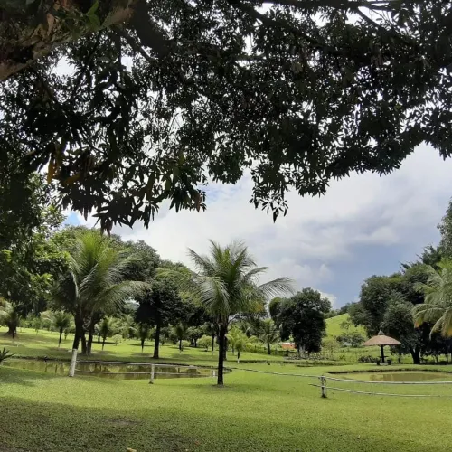 VENDO BELÍSSIMO SITIO COM 200,000 M2 DE EXTENÇÃO EM PAPUCAIA.