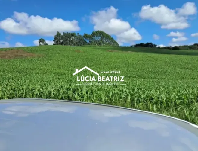 Esplêndida Fazenda com 700 Hectares Na região de Cristais/MG