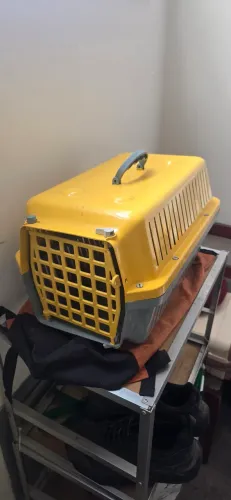 Caixa para transporte pet cachorro ou gato