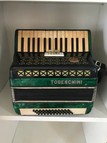 Acordeon Todeschini 48 baixos raridade