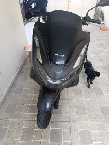 Pcx