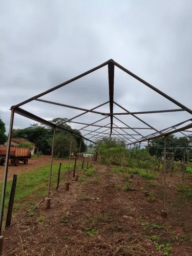 Estufa para hortaliças