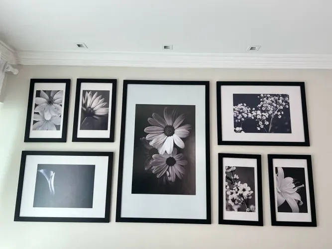 Conjunto com 7 quadros decorativos - molduras pretas com vidro