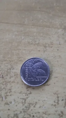 Cédulas e moedas