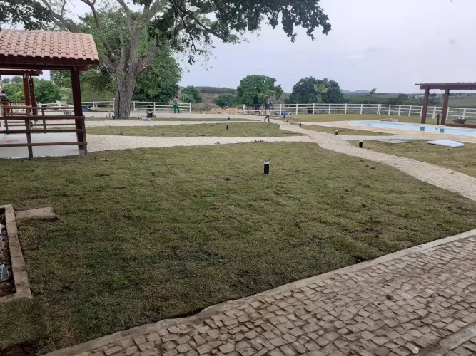 Grama natural em tapete 