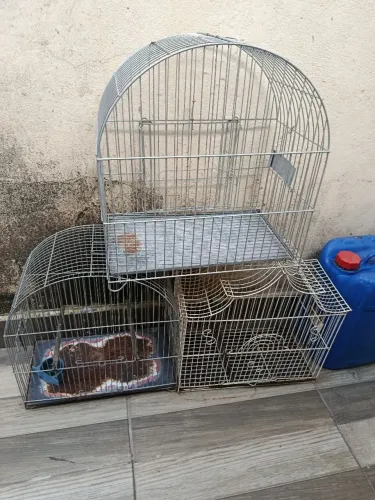 Gaiolas passarinho