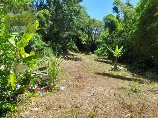 Terreno em meio a natureza na Costa de Dentro