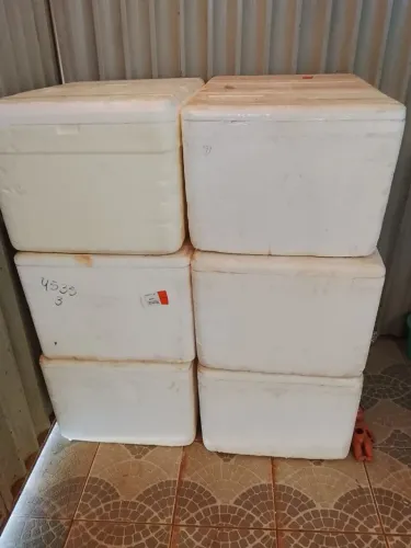 Caixa de Isopor 120 e 80 litros