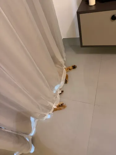 VAGA DE BABA COM EXPERIÊNCIA 