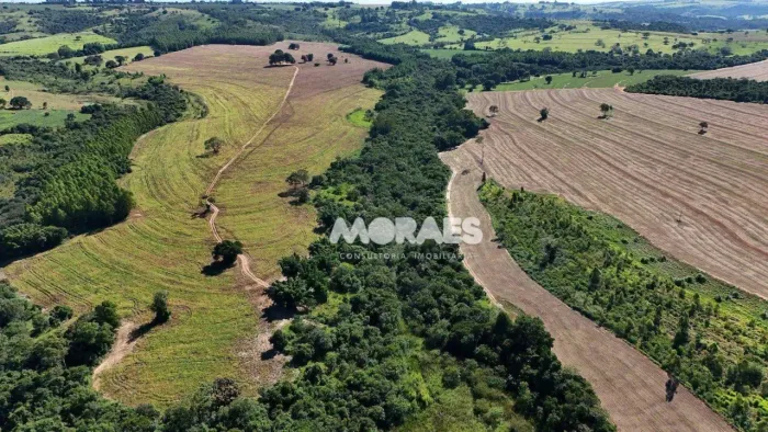 Fazenda à venda, 137,94 hectares por R$ 8.000.000 - Zona Rural - Echaporã/SP