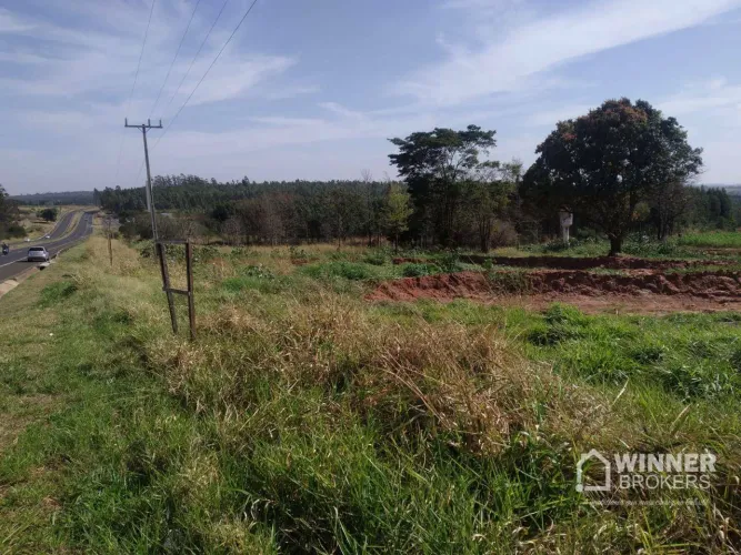 Chácara à venda, 12239 m² por R$ 1.200.000,00 - Gleba Capelinha - Nova Esperança/PR