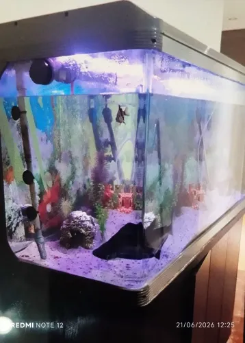 Aquário Boyu vidro curvo 400 litros + Móvel + decorações