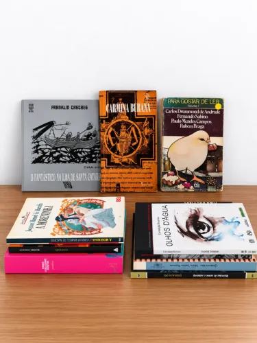 Kit 10 Livros de Literatura e Clássicos
