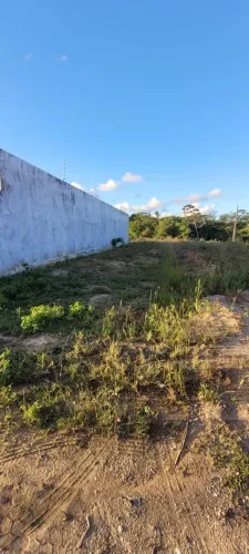 LOTE NOVA SANTA LUCIA 