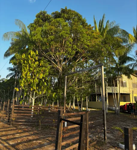 BELO SÍTIO NA AM-070 - 30.000 m² COM CASA, POÇO, FRUTAS E PEIXES