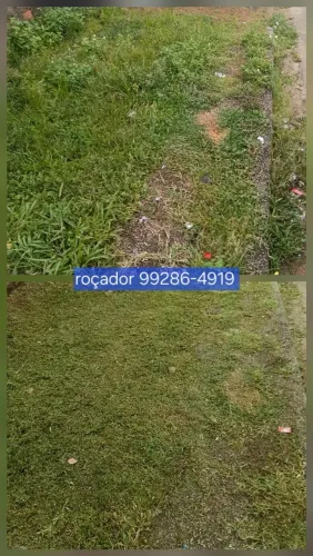 Roçador