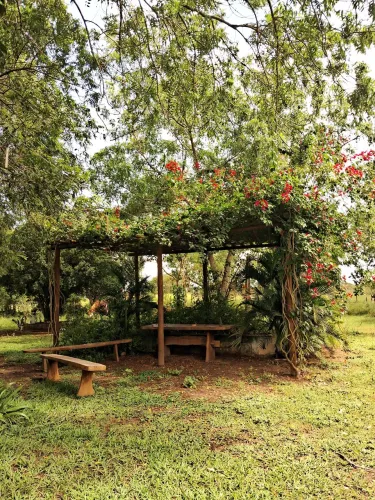 Hospedagem rural e eventos na roça 