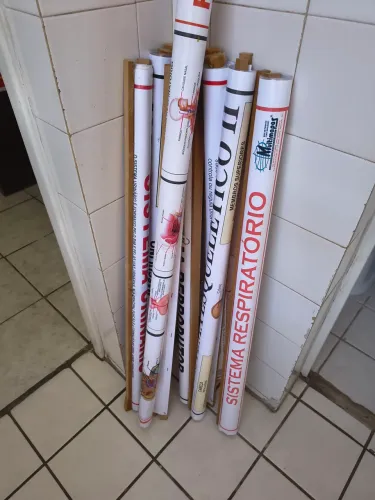 Mapas do corpo humano 