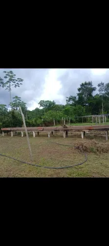 Vendo um sítio na estrada de Autazes kilometros 14 