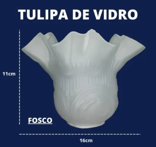 Kit com 3 caracol fosca