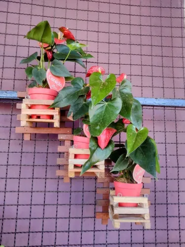 PAINEL DE MADEIRA PARA PLANTAS