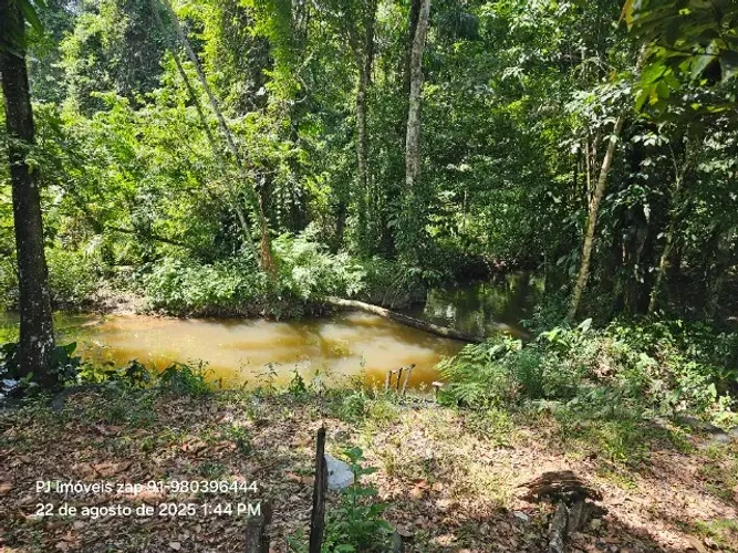 180x700 no pasto há 18 km de Castanhal Pará R$ 250 mil 