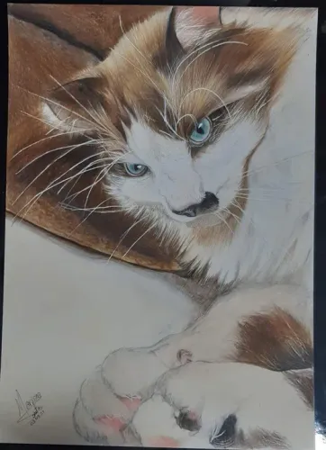 Desenhos Realistas - Presentei quem ama com algo único - Envio p/ todo Brasil.