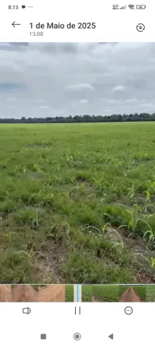 Fazenda de arrendamento 2.000hec plantando em bom Jesus do Araguaia MT.