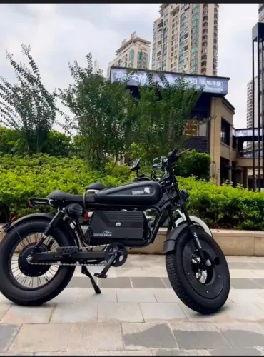 Bike Elétrica E-bike Bicicleta Warrior