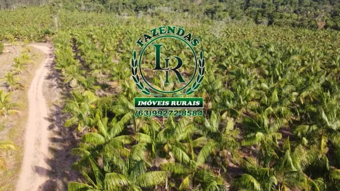 Fazenda 20 Alqueires com Plantio açai