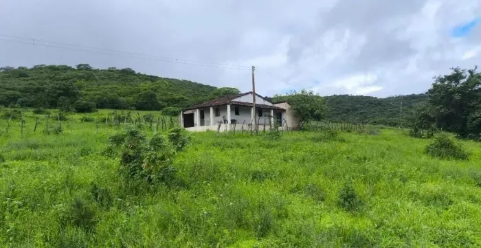 INVESTIDOR AGRO: 67HA ESCRITURADOS A 4,9KM DA CIDADE  PREÇO DE OCASIÃO