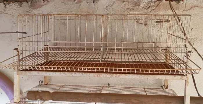 Gaiola para Codornas