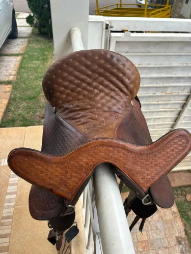 Cela de cabeça para cavalo