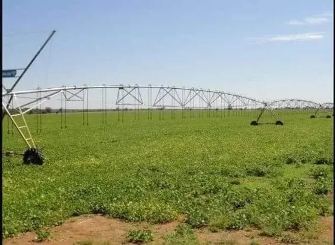 Fazenda a venda em - Jussara - Goiás