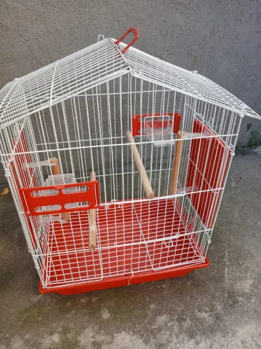 Gaiola para Calopsita muito nova