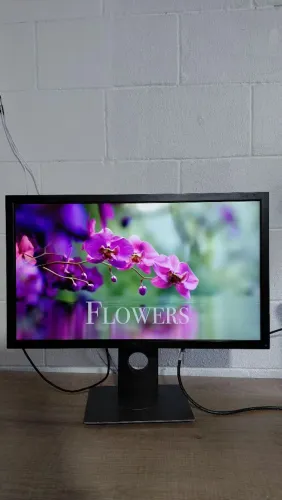 Monitor Dell 24°Polegadas Full HD- Com base ajustável!