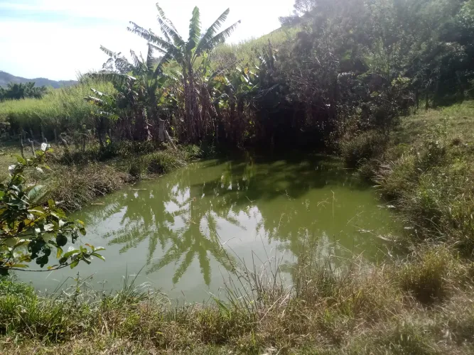 SÍTIO COM 30.7 HECTARES EM JAMBEIRO