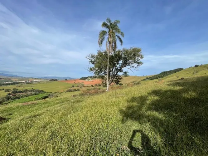 FAZENDA À VENDA | ESTRUTURA COMPLETA, ÁGUA EM ABUNDÂNCIA E GRANDE POTENCIAL PRODUTIVO