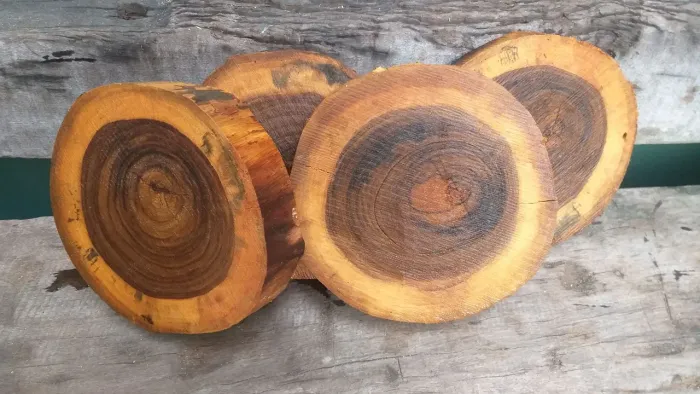 Bolachas de madeira maciça orgânica 