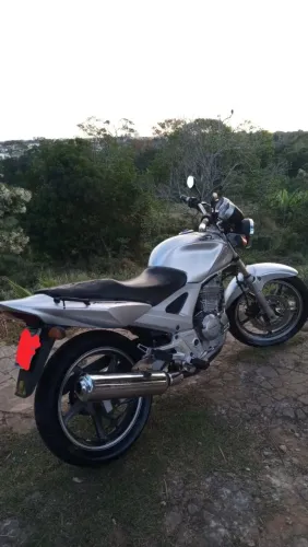Apenas venda