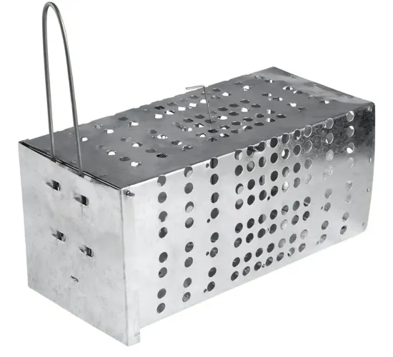 Gaiola pega rato armadilha 