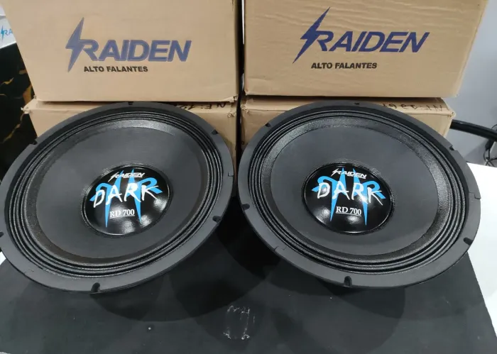 2 Woofer RAIDEN 700rms 12"