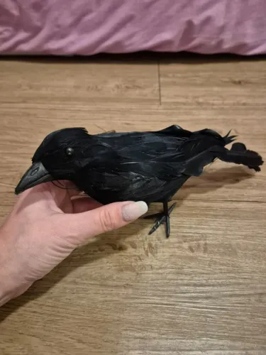 pássaro preto corvo decoração halloween