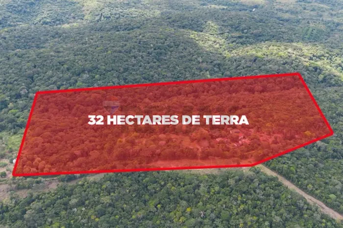 SÍTIO À VENDA NO POVOADO RIACHO DAS PEDRAS VALENÇA, BAHIA | 32 HECTARES