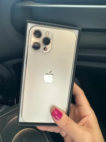 iPhone 12 Pro Max 256GB