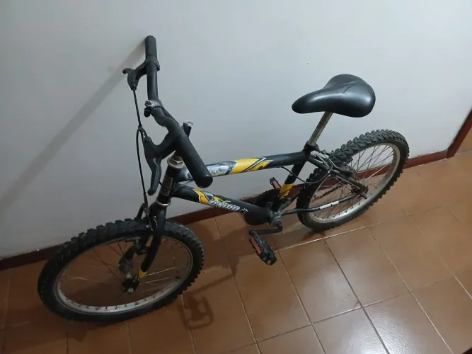Bicicleta
