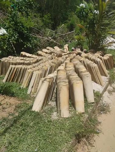 Telhas de cerâmica