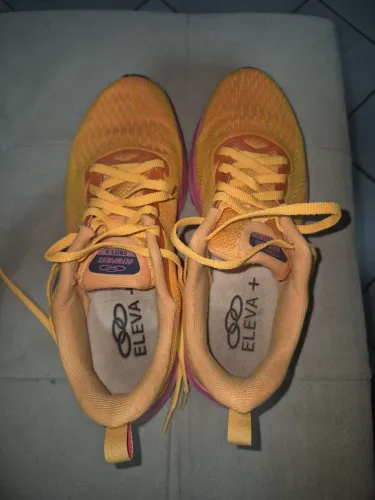 Tenis
